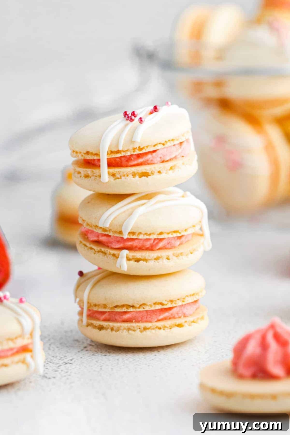 Berry Bliss Macarons 1 featured 1856