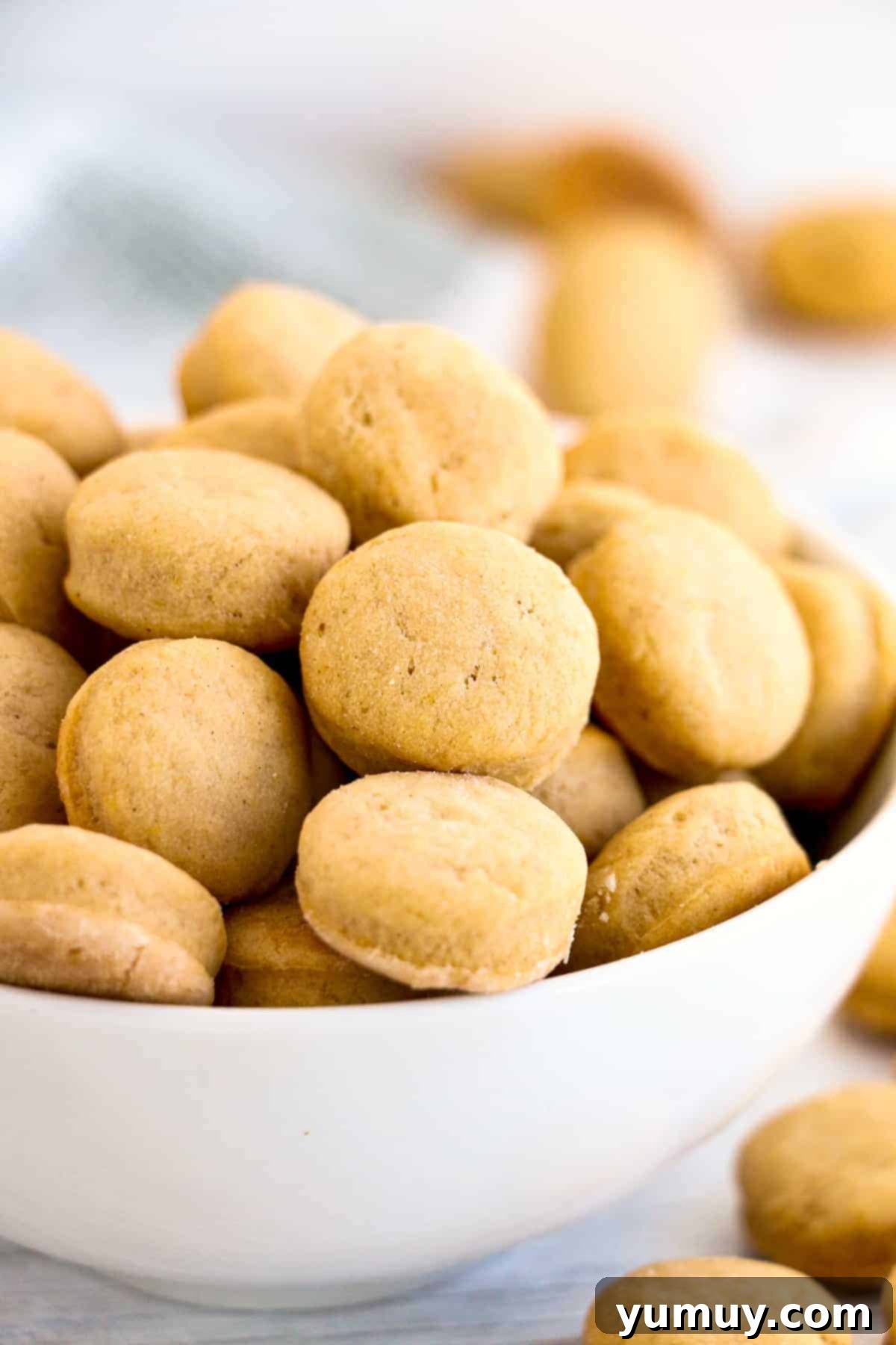 Pup's Peanut Delights 1 featured 2344