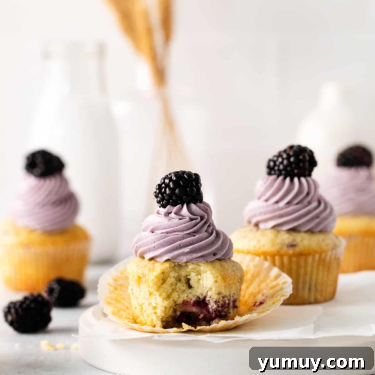 Luscious Blackberry Cupcakes 1 featured 27682