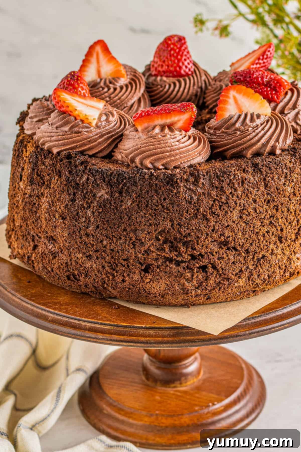 Light & Airy Chocolate Cloud Cake 1 featured 2791