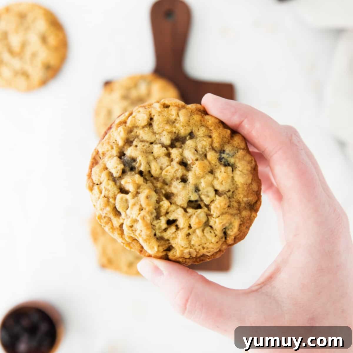 Golden Oat Raisin Delights 1 featured 30234