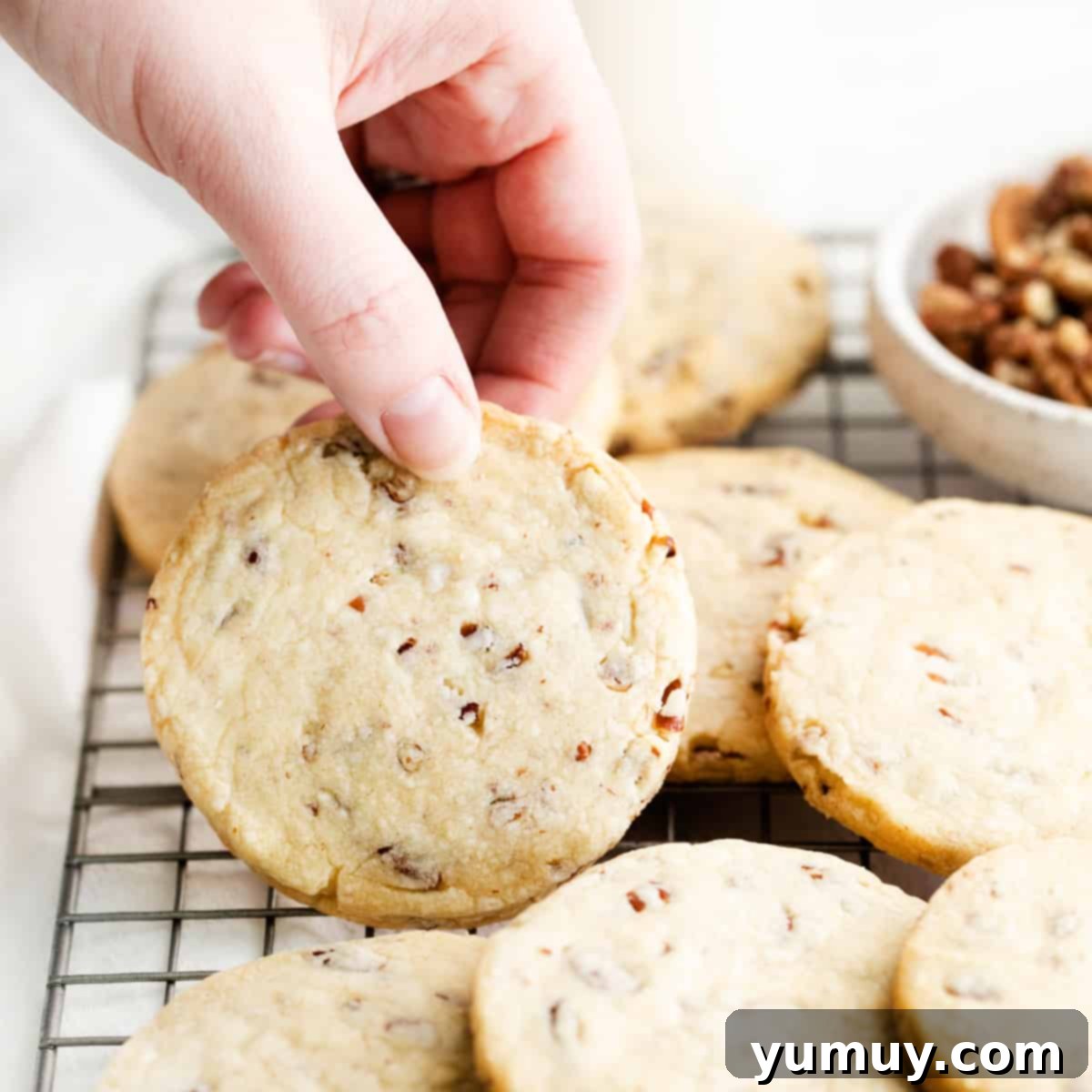 Melt-in-Your-Mouth Pecan Shortbread 1 featured 30249