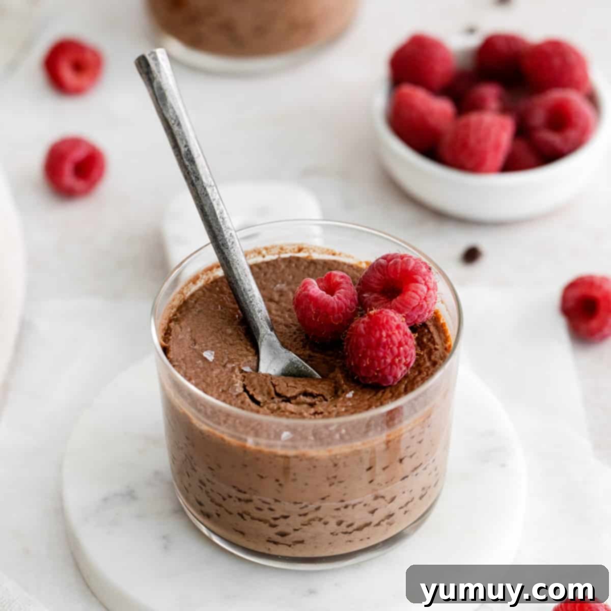 Decadent Chocolate Custard 1 featured 30855