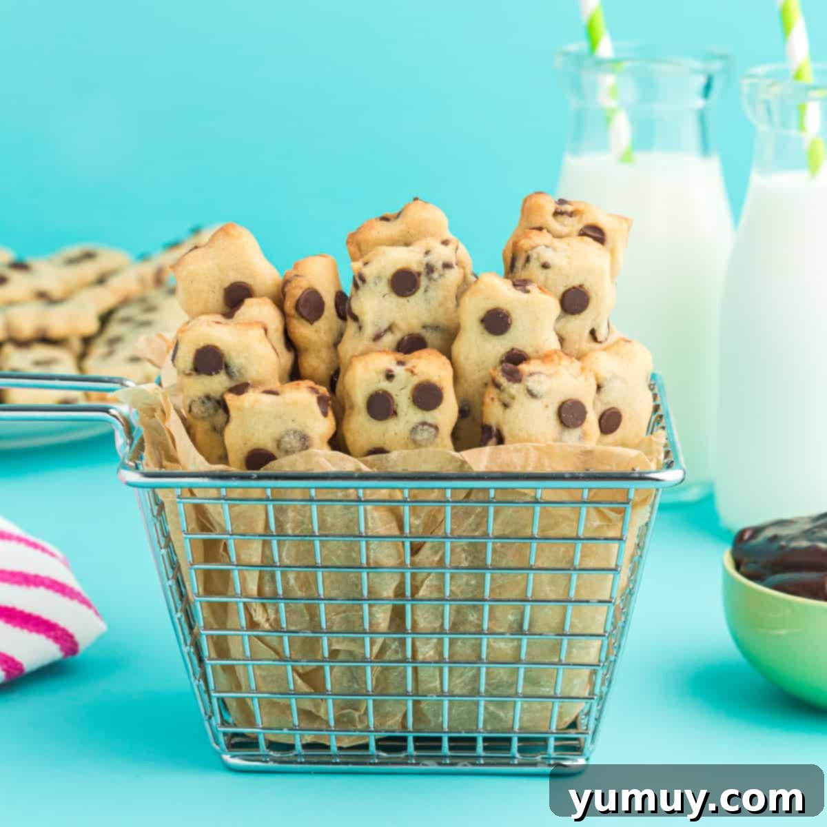 Golden Cookie Fries with Chocolate Chips 1 featured 30976