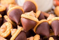 Forest Floor Delights