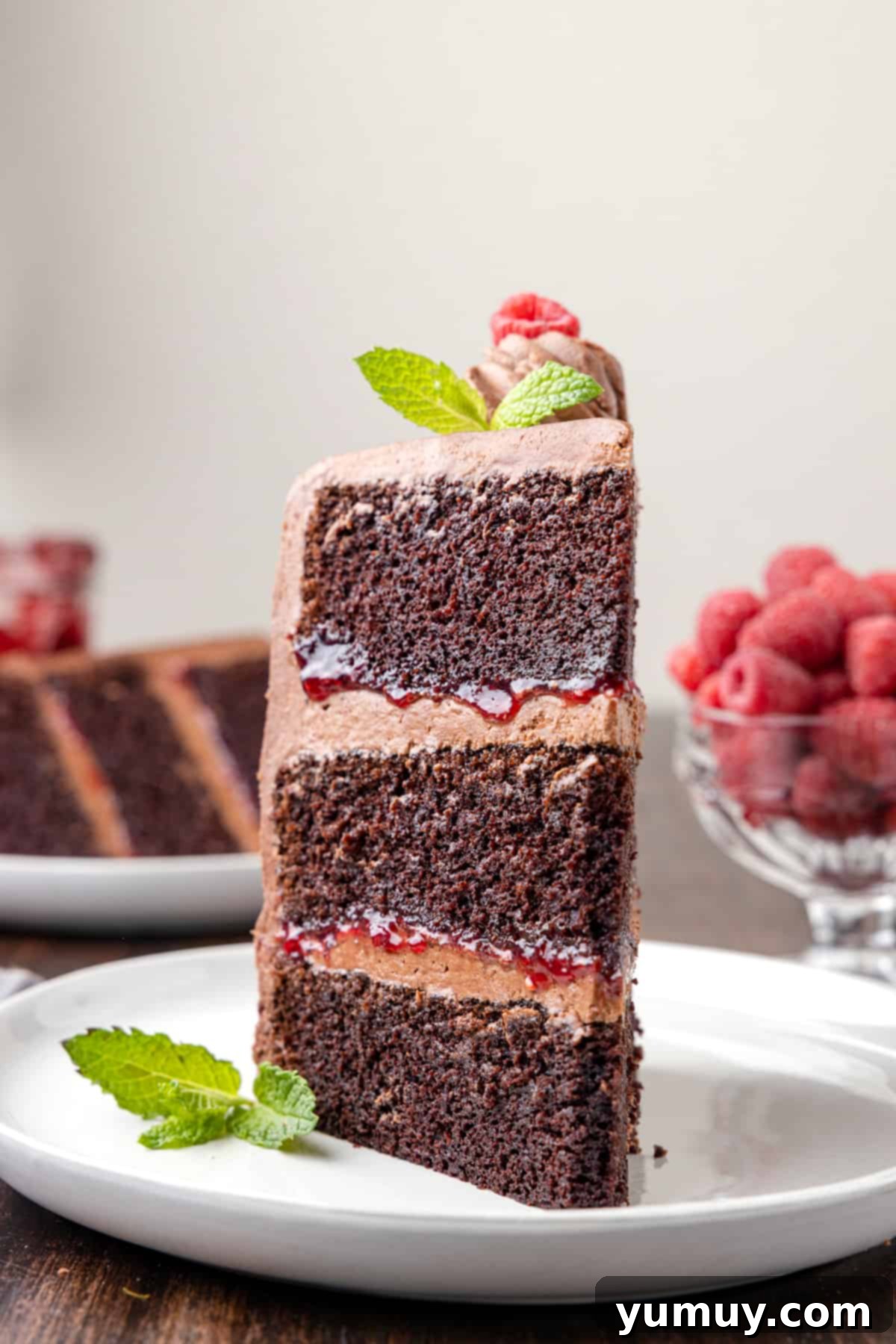 Dark Chocolate Raspberry Gateau 1 featured 38346