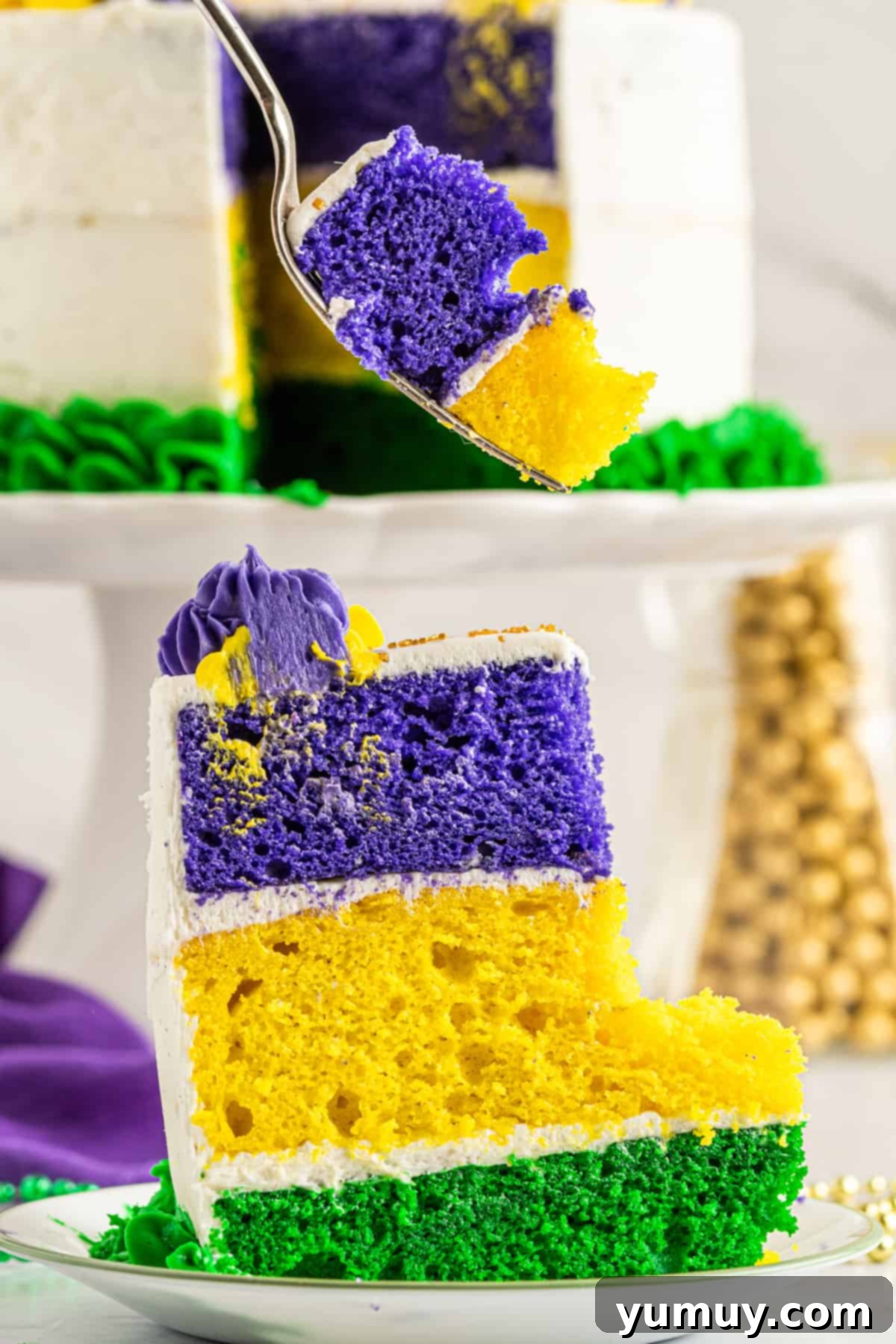 Mardi Gras Birthday Fiesta 1 featured 38615