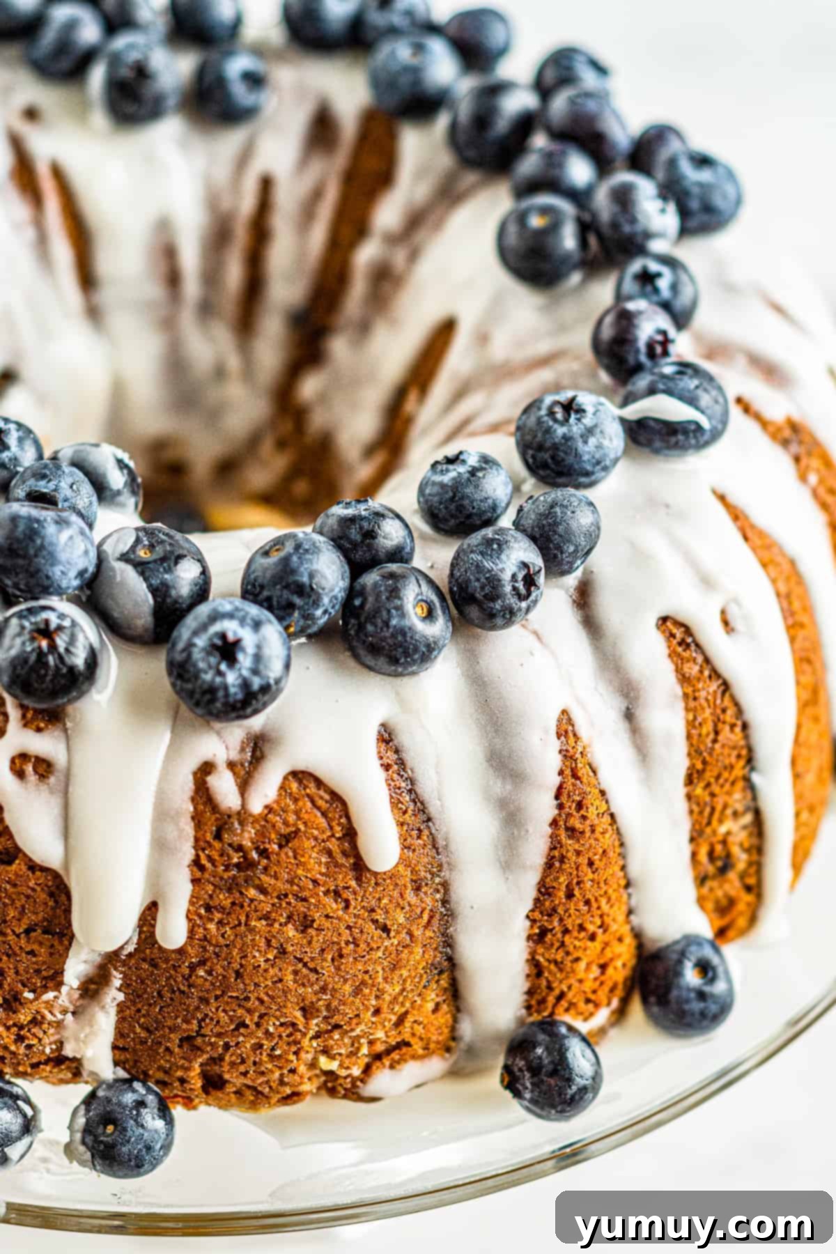 Bursting Blueberry Bundt 1 featured 4054