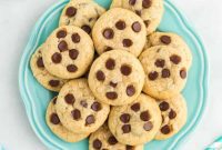 Tropical Coconut Chocolate Chip Delight