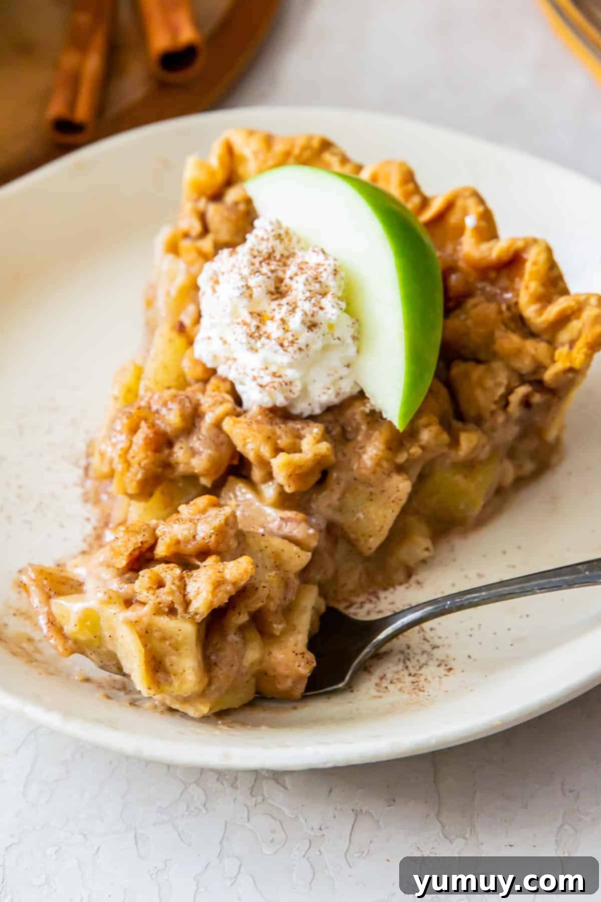 Homestyle Dutch Apple Pie 1 featured 4836