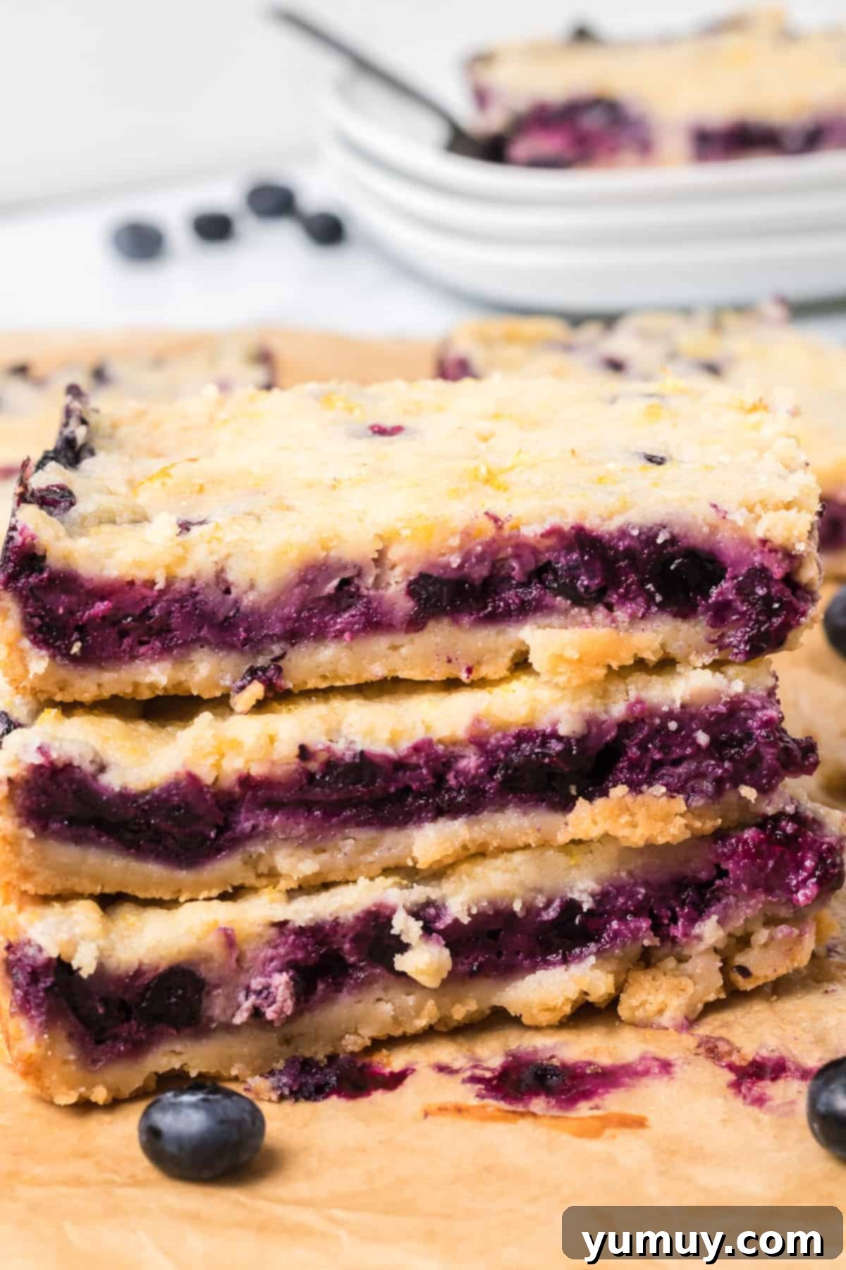 Blueberry Bliss Bars 1 featured 68