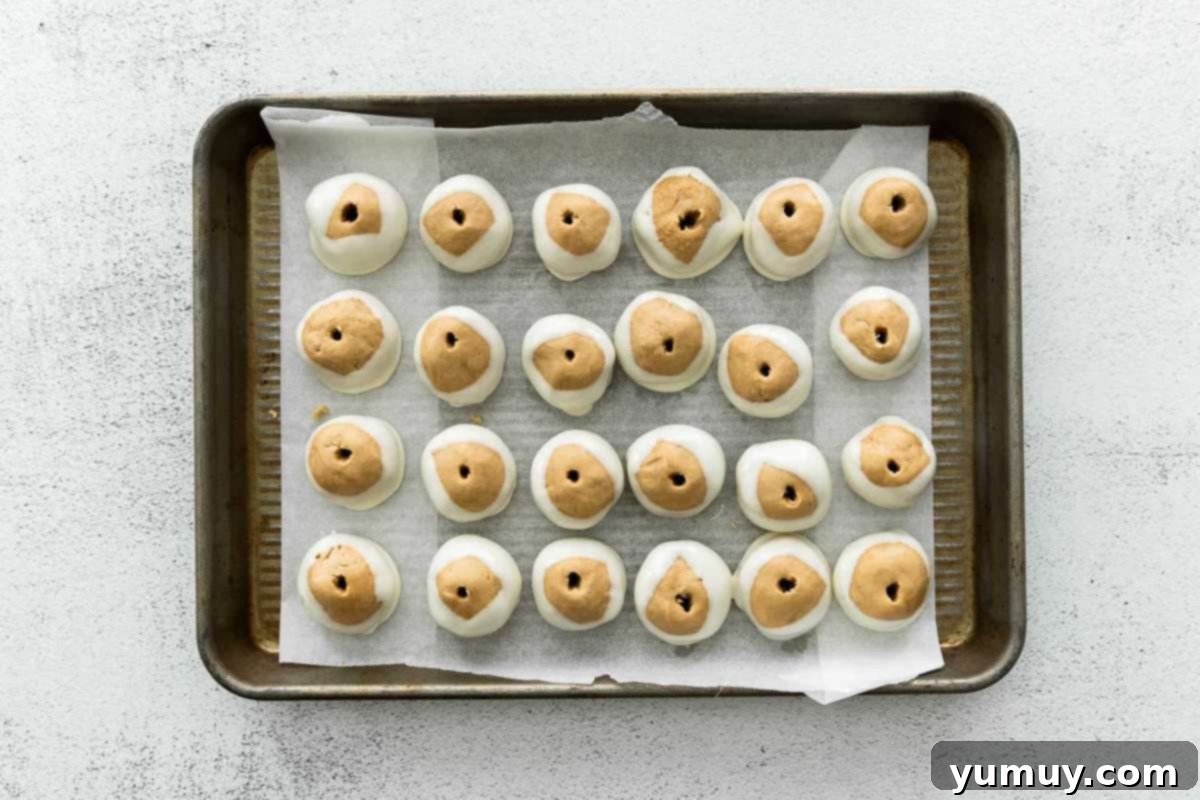 Peanut butter balls partially coated in white chocolate.
