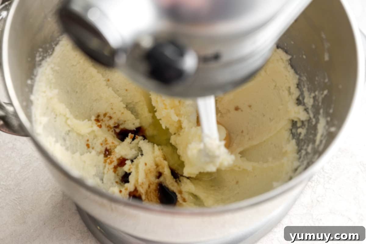 Pure Butter Delights 11 Creamed butter and vanilla with a raw egg in a stand mixer bowl, mid-mixing to combine.