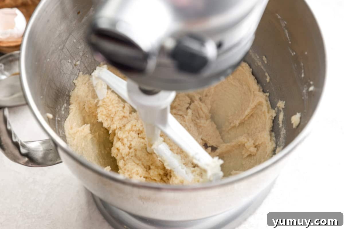 Pure Butter Delights 12 Mixing cookie dough with flour and salt in a stand mixer, showing gentle incorporation.