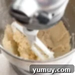 Pure Butter Delights 7 Mixing cookie dough with flour and salt in a stand mixer.