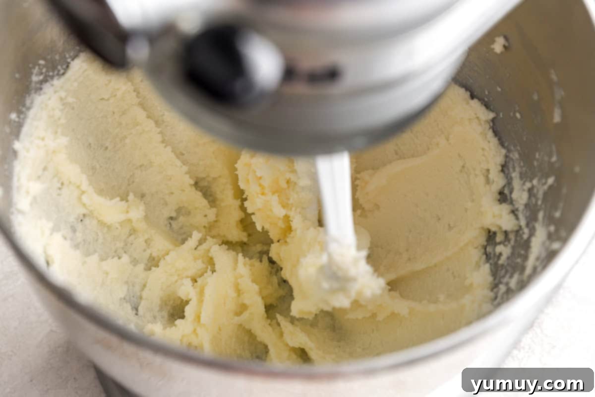 Pure Butter Delights 10 Combining unsalted butter and granulated sugar in a stand mixer bowl until fluffy and pale.