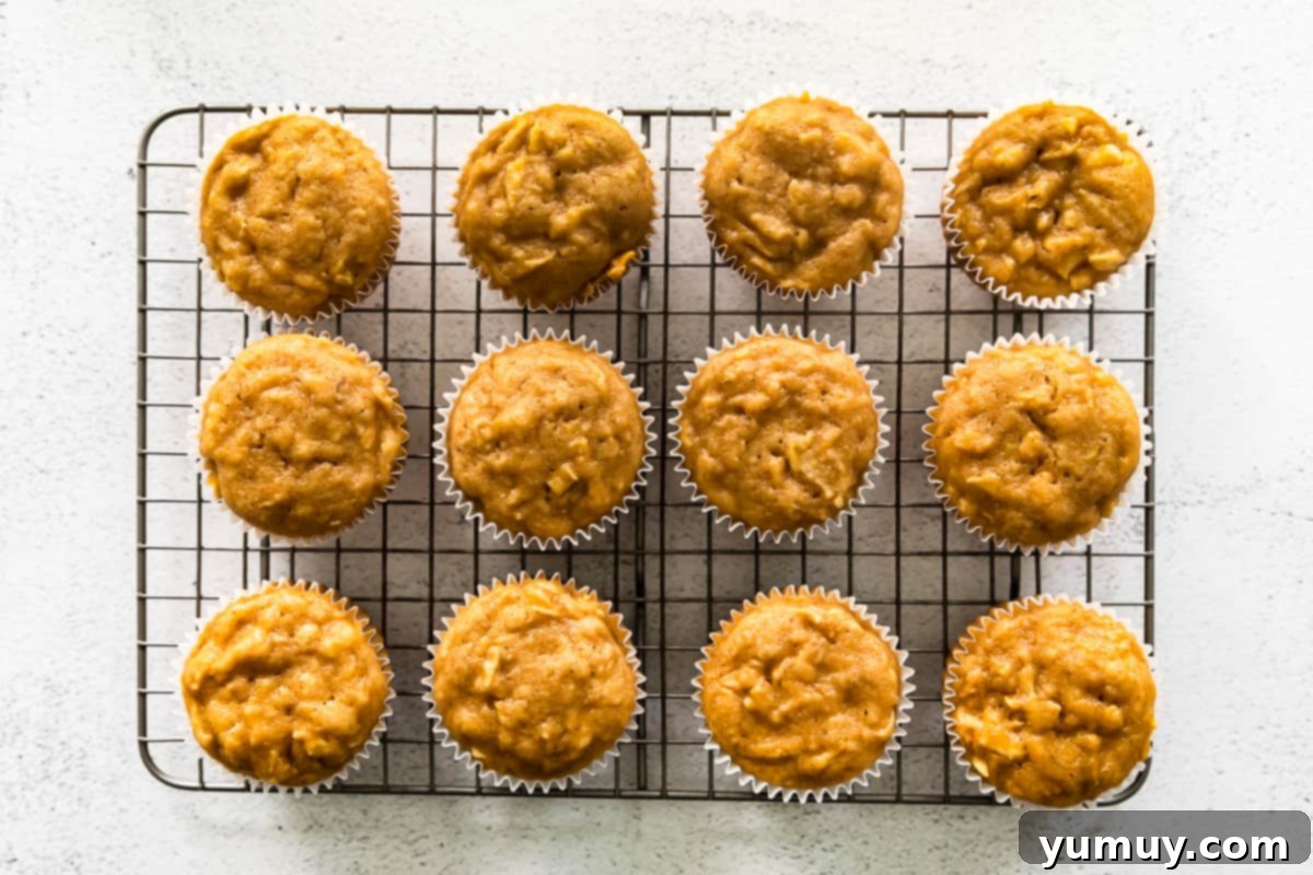 overhead image of 12 apple cupcakes without frosting on a cooling rack