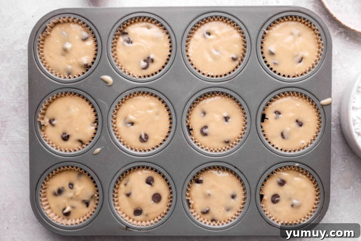 Ultimate Chocolate Chip Cupcakes 10 A meticulously filled cupcake tin, each liner holding an even portion of chocolate chip batter, showcasing readiness for the oven.