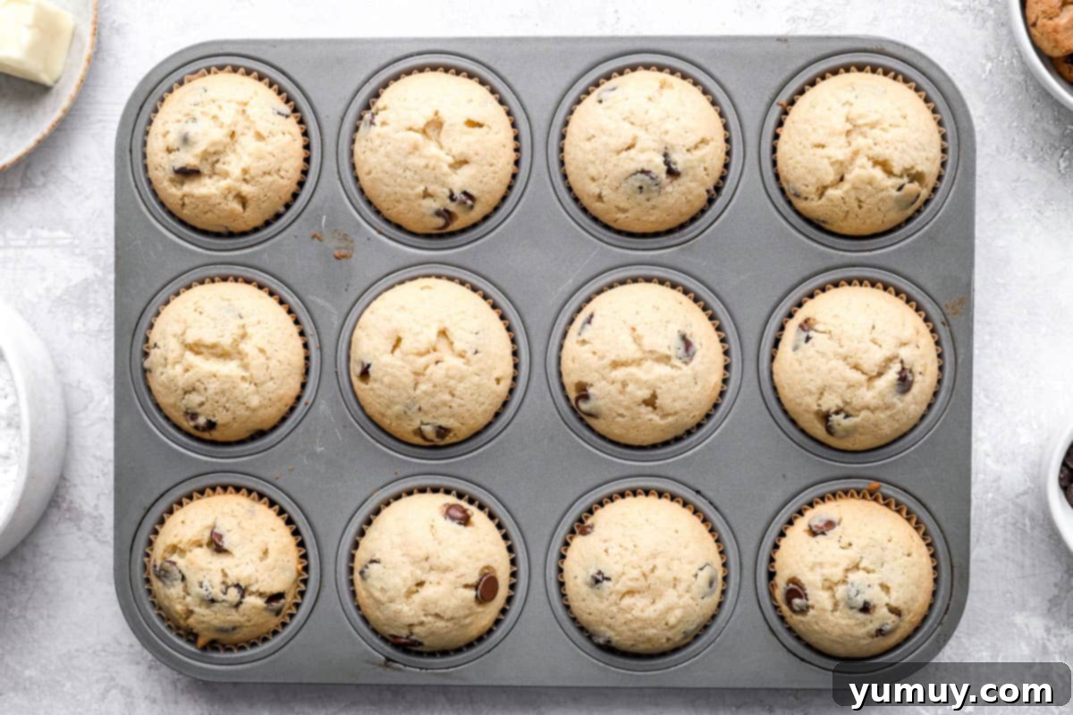 Ultimate Chocolate Chip Cupcakes 11 Freshly baked, golden-brown cupcakes still in their tin, having just emerged from the oven, radiating warmth and a sweet aroma.