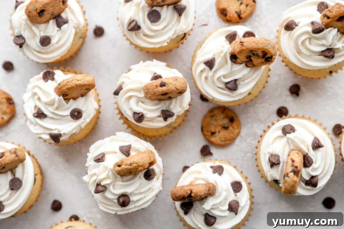 Ultimate Chocolate Chip Cupcakes 15 A delightful overhead arrangement of cupcakes, each beautifully frosted and sprinkled with an extra touch of chocolate chips, ready for enjoyment.