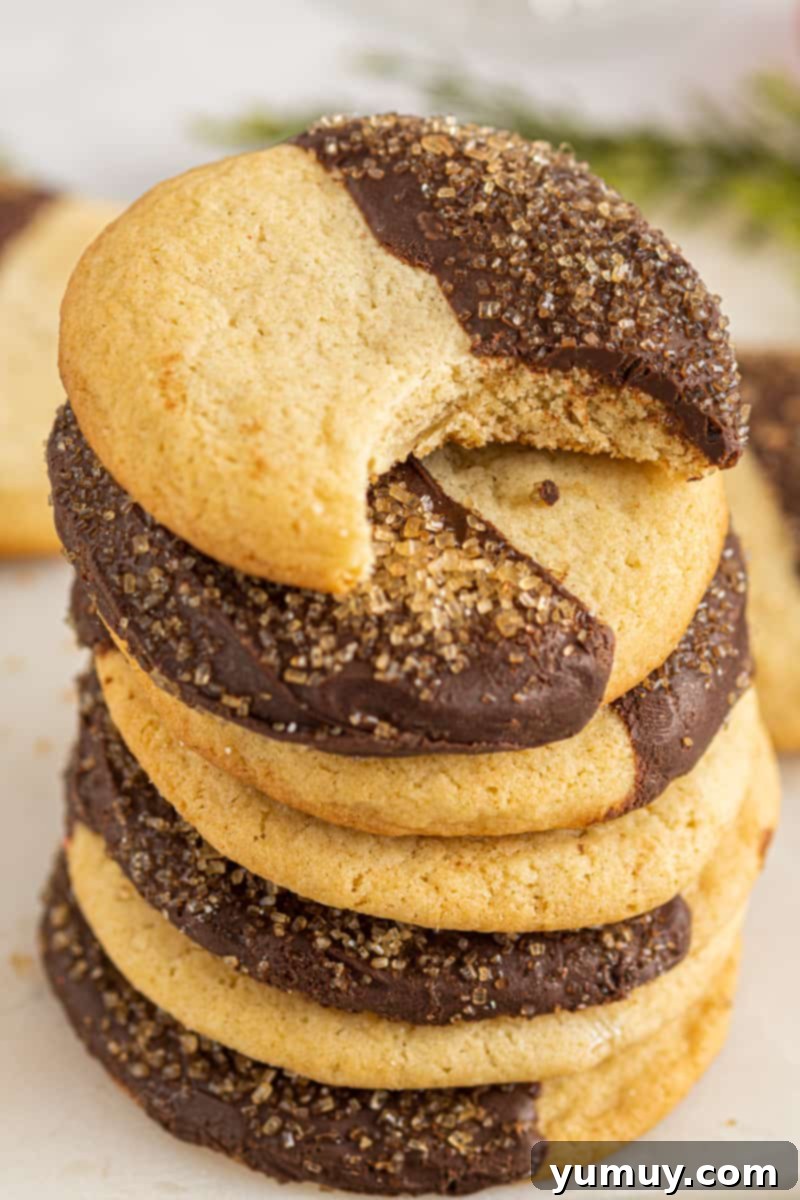 Stack of four chocolate-dipped sugar cookies, one with a bite taken out, showing the soft interior.