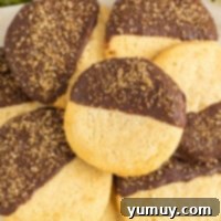 Featured image of a chocolate dipped sugar cookie, showing its rich chocolate coating and soft texture.