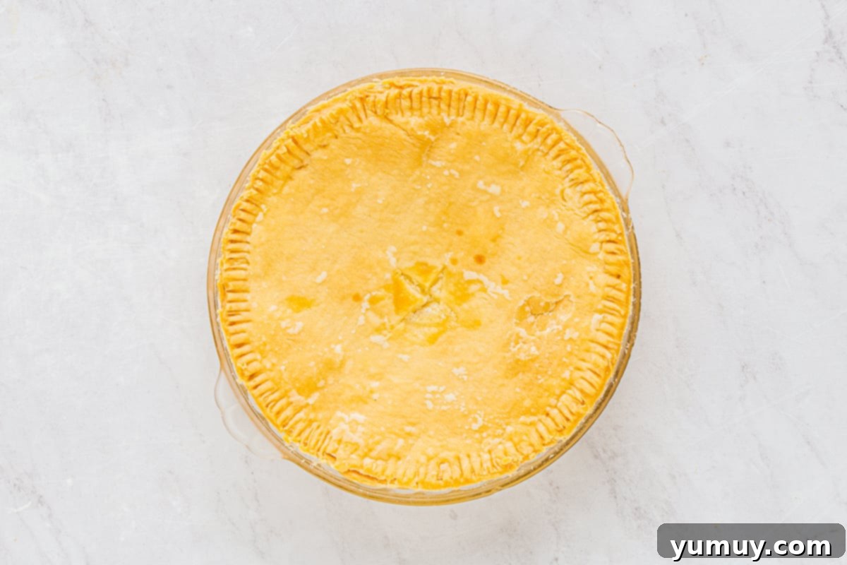 buttermilk chess pie after baking, golden brown and ready to cool