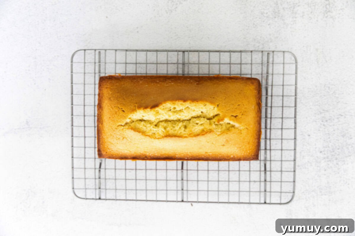 Classic Vanilla Pound Cake 16 overhead view of baked vanilla pound cake on a wire cooling rack.