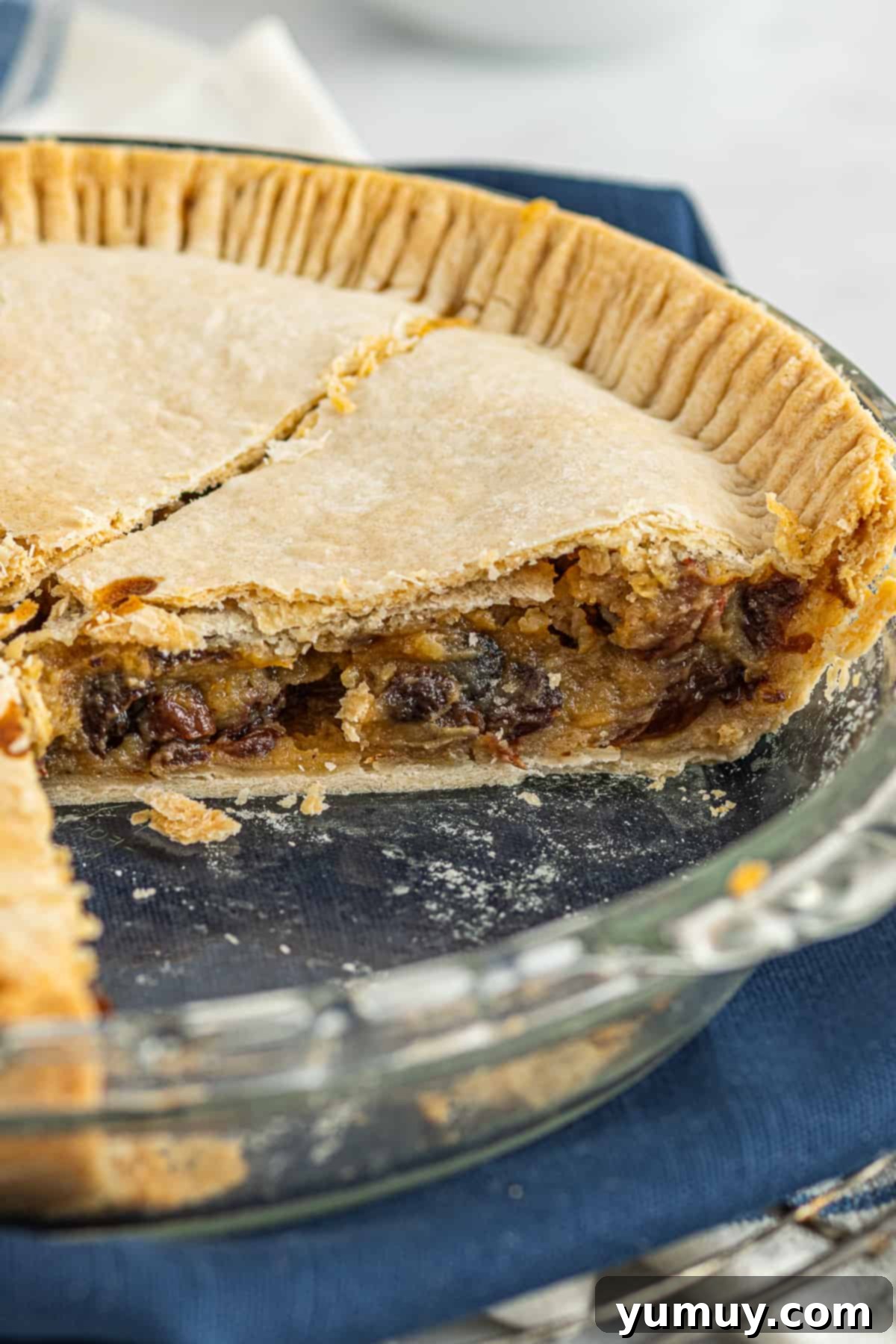 Velvet Raisin Bliss 2 A beautifully baked sour cream raisin pie, partially sliced to reveal its creamy filling, rests in a fluted pie plate on a rustic wooden surface.