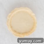 Velvet Raisin Bliss 14 The second pie crust placed over the filling, with crimped edges and steam vents cut into the top.