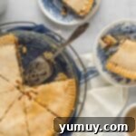 Velvet Raisin Bliss 16 An overhead view of a whole sour cream raisin pie, ready to be sliced after chilling.