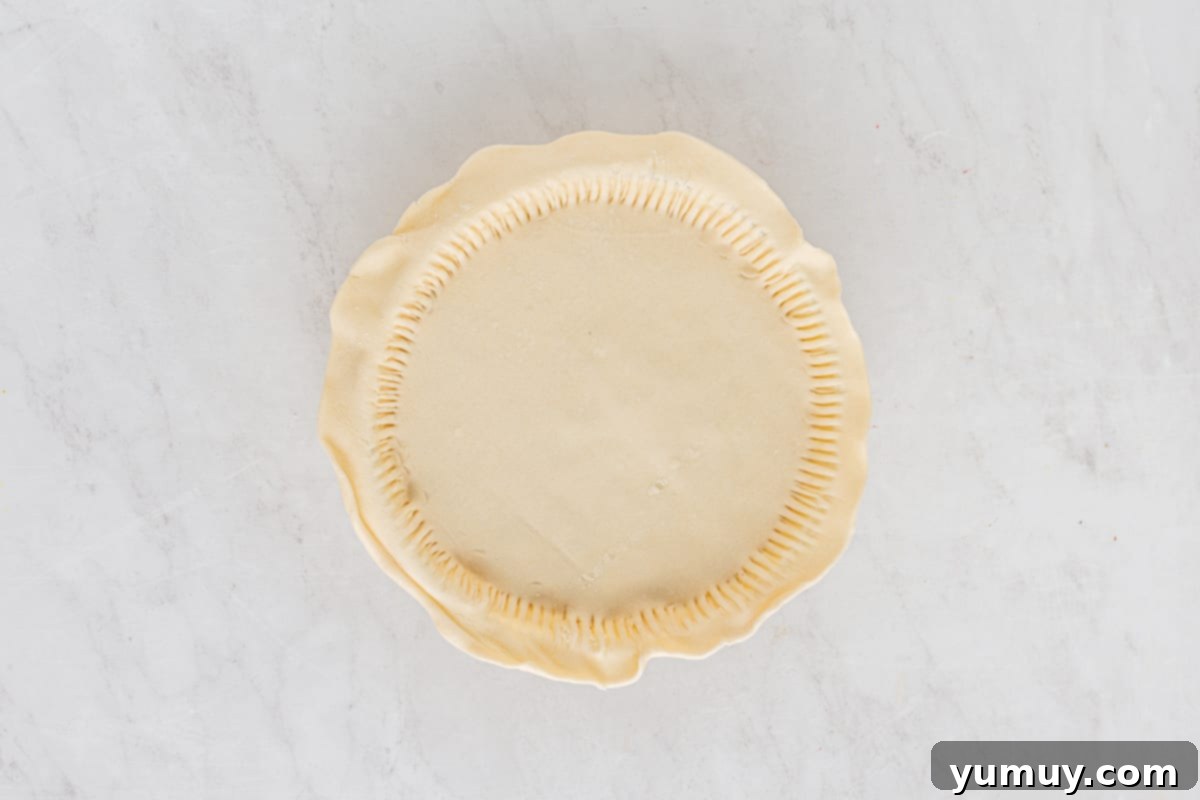 Velvet Raisin Bliss 23 A fully assembled raisin pie, topped with a second pie crust, crimped edges, and steam vents cut into the top, ready for baking.