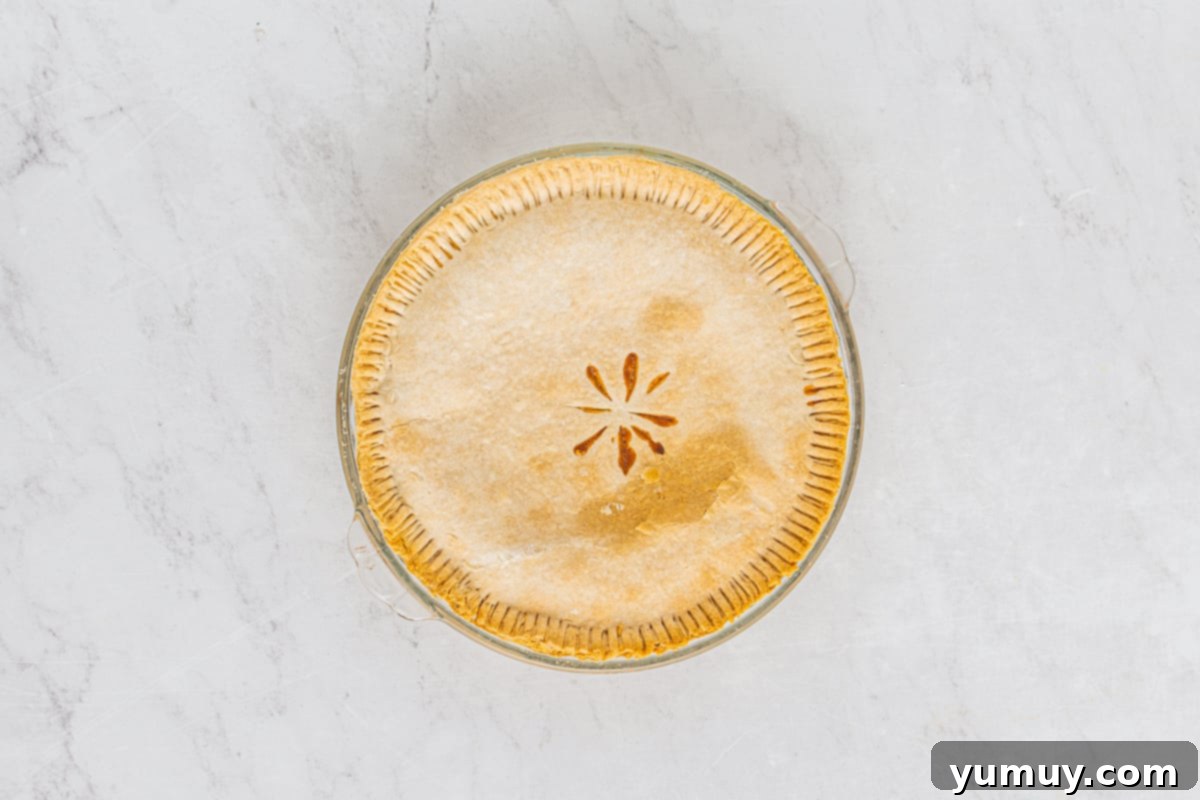 Velvet Raisin Bliss 24 A freshly baked sour cream raisin pie, with a rich golden-brown double crust, resting on a cooling rack.