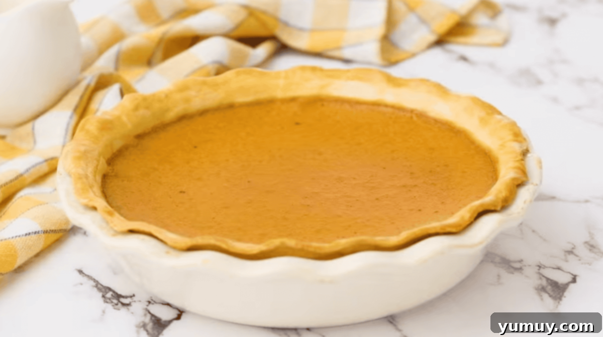a baked pumpkin pie in a pie pan.