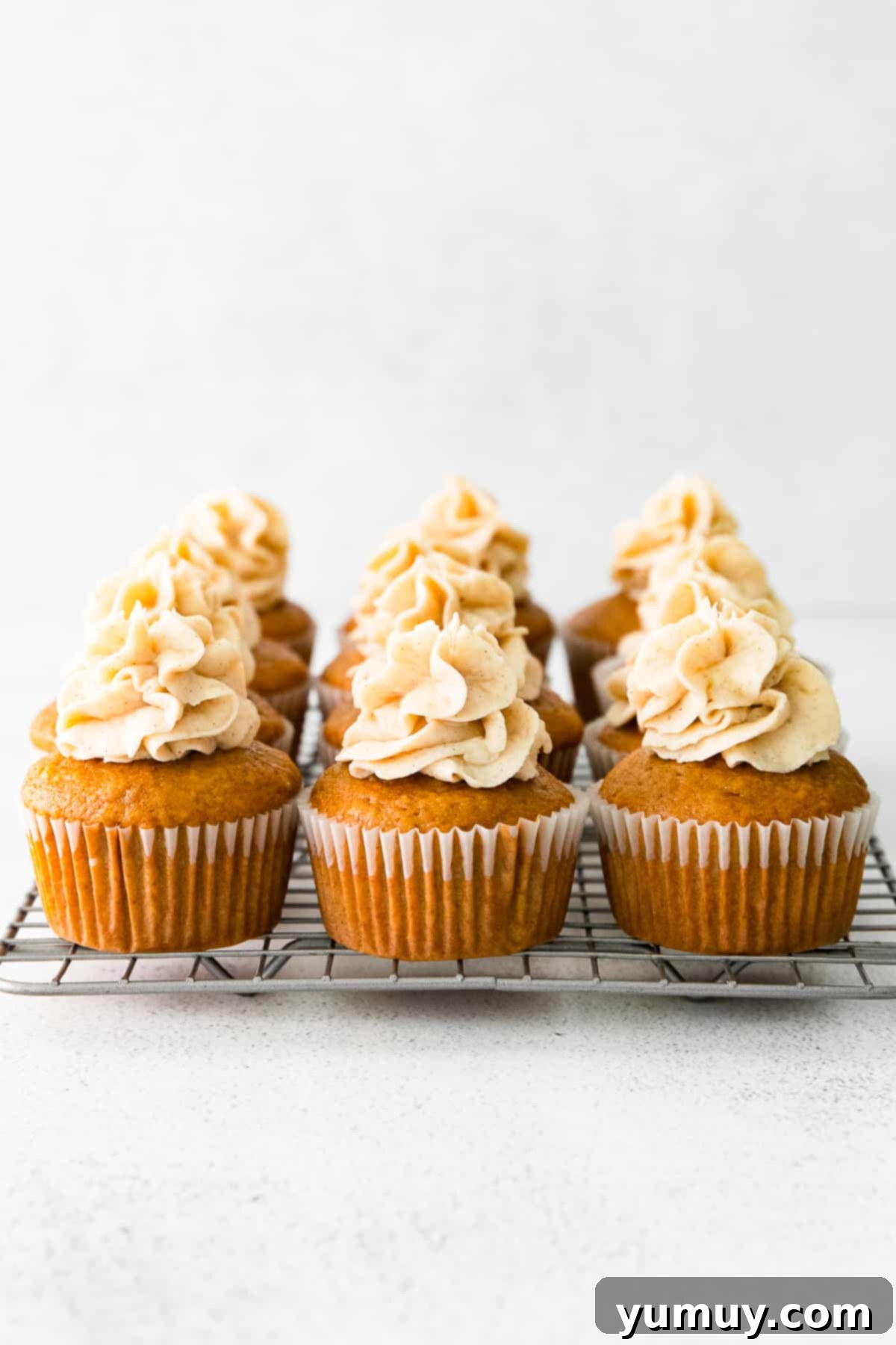 Spiced Gingerbread Cupcakes 2 9 gingerbread cupcakes topped with spiced white chocolate buttercream on a cooling rack