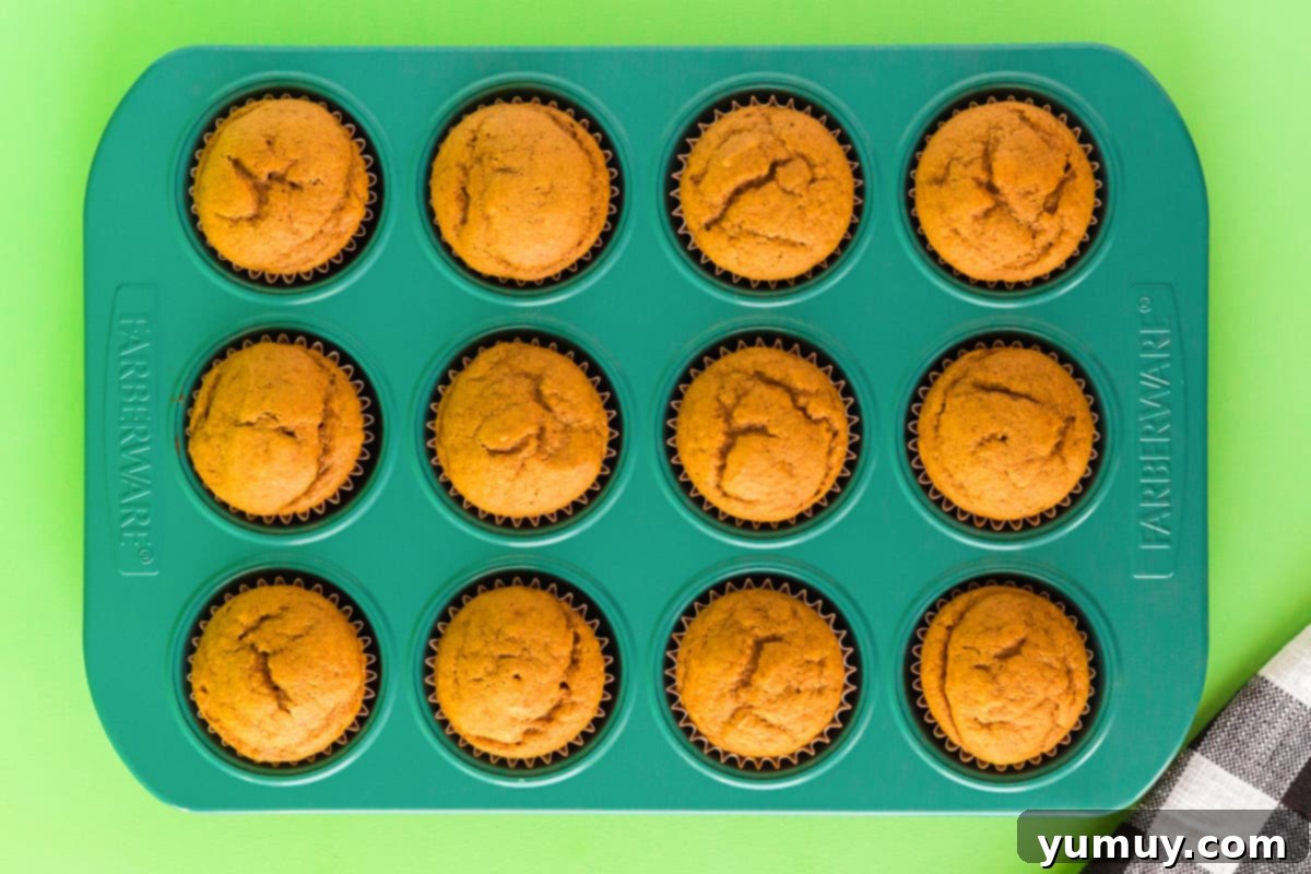 A metal cupcake pan filled with golden-brown pumpkin cupcakes, freshly baked and still warm from the oven, showcasing their perfect rise and inviting texture.