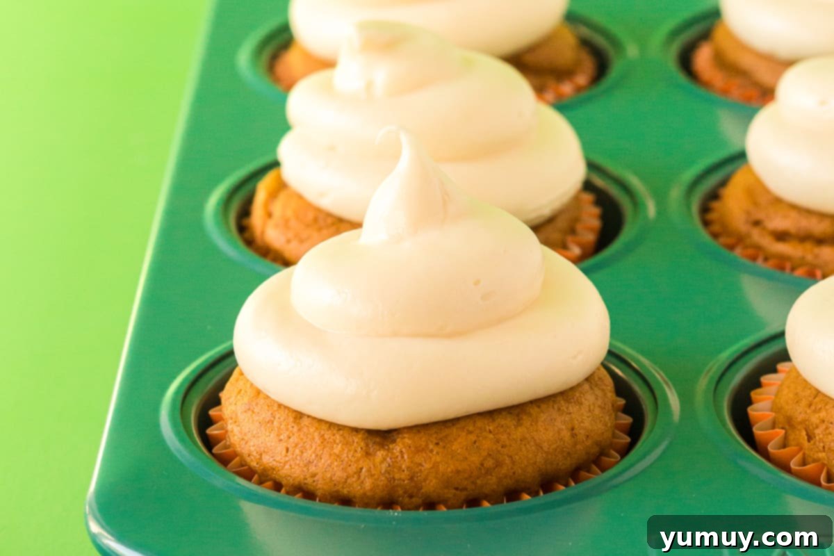 Freshly baked pumpkin cupcakes in a cupcake pan, each topped with a delicate swirl of creamy white cream cheese frosting, creating an inviting and delicious display.