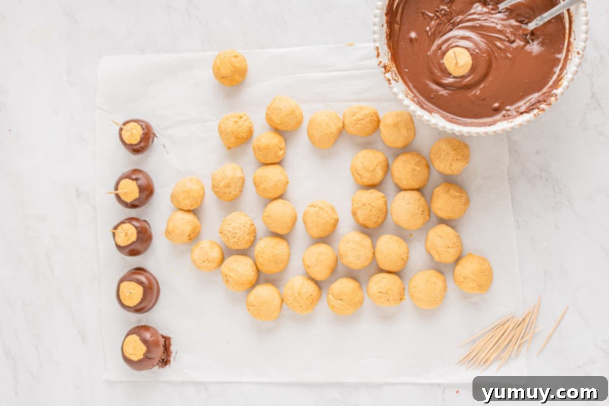 A rolled buckeye candy being meticulously dipped into a white bowl of chocolate coating using a toothpick for precision.