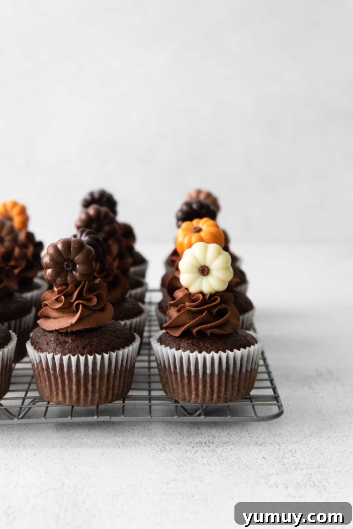 Beautifully frosted and artfully decorated chocolate pumpkin cupcakes arranged on a wire cooling rack, ready for serving.