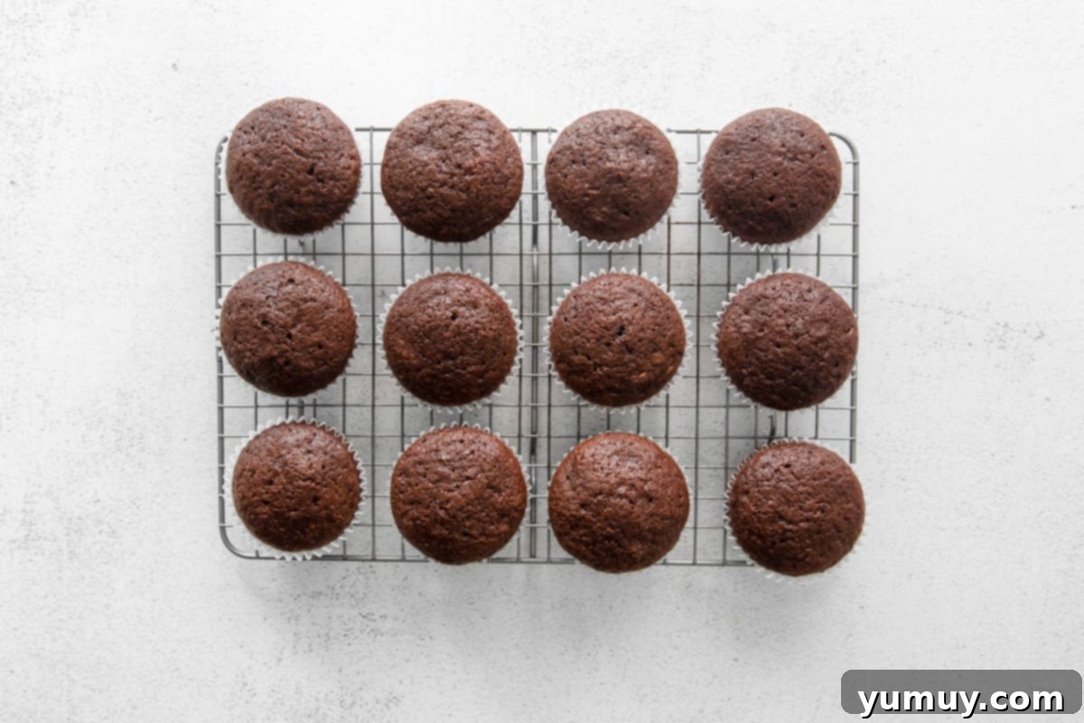 Freshly baked chocolate pumpkin cupcakes cooling on a wire rack, with a gentle wisps of steam indicating their recent removal from the oven.