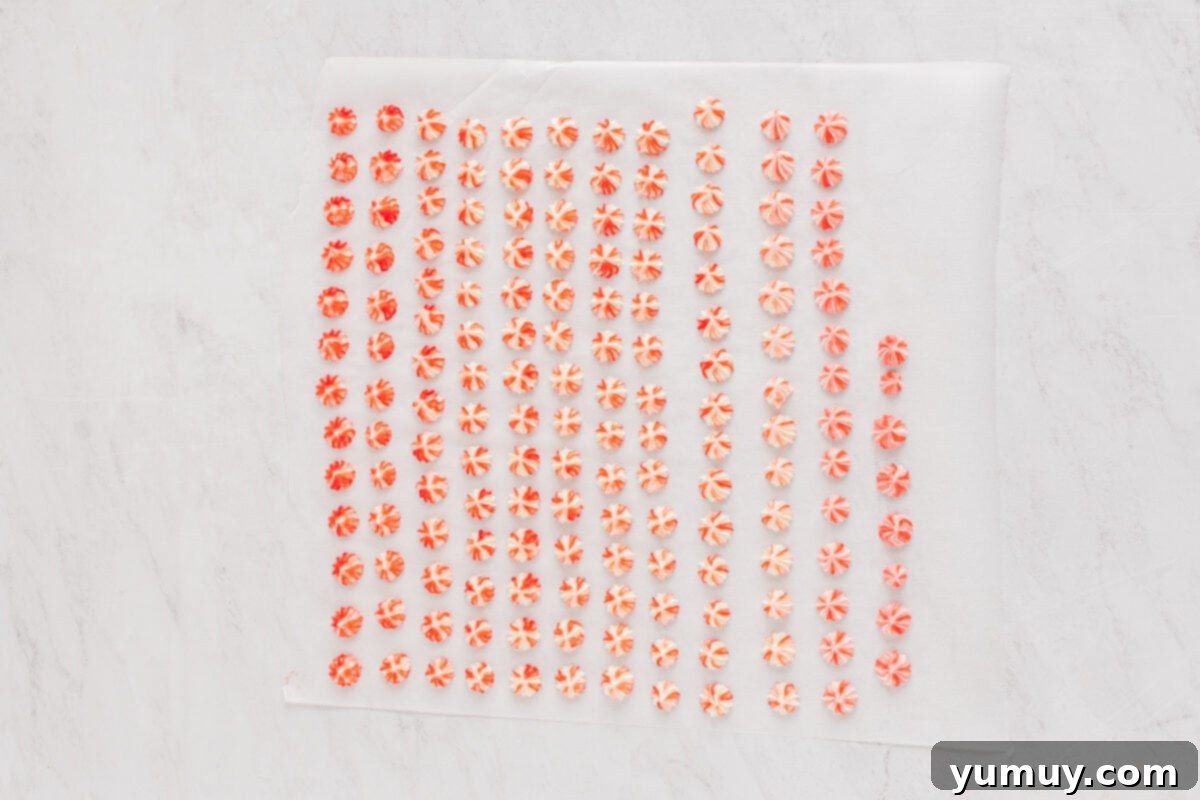 Freshly piped red and white swirled cream cheese mints arranged neatly on a sheet of parchment paper, ready for drying.