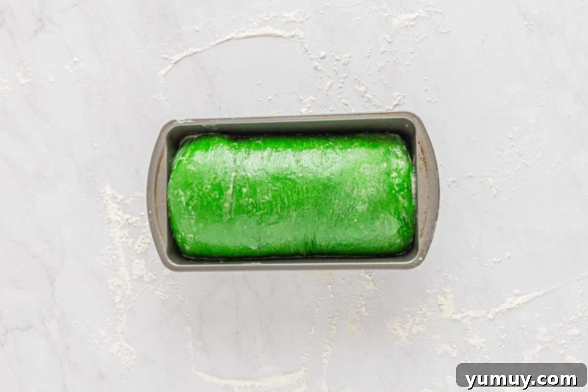 Unbaked Christmas swirl bread dough in a loaf pan, perfectly risen and ready for the oven