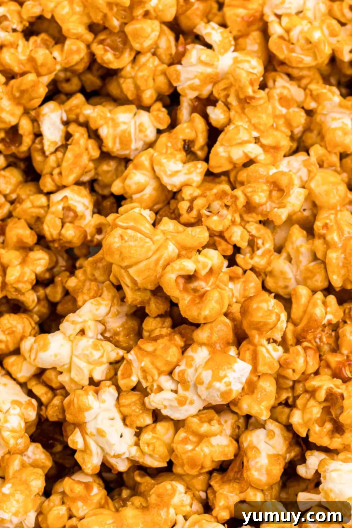Golden Caramel Crunch 2 closeup view of pieces of caramel popcorn.