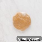 Festive Gingerbread Treats 10 A disc of gingerbread cookie dough wrapped snugly in plastic wrap, ready for chilling.