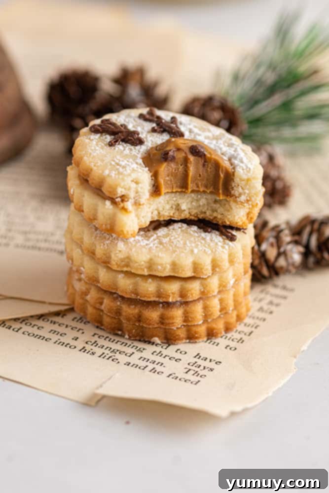 A small stack of delightful reindeer cookies, with one cookie having a bite taken out, revealing the creamy cookie butter filling.
