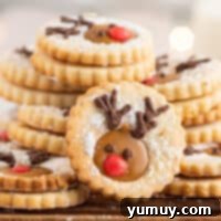 Featured image of festive Reindeer Linzer Cookies, filled with cookie butter and decorated for Christmas.