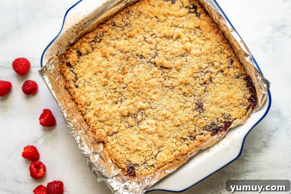 Luscious Raspberry Bars 12 A warm baking dish filled with freshly baked raspberry crumb bars, cooling down.