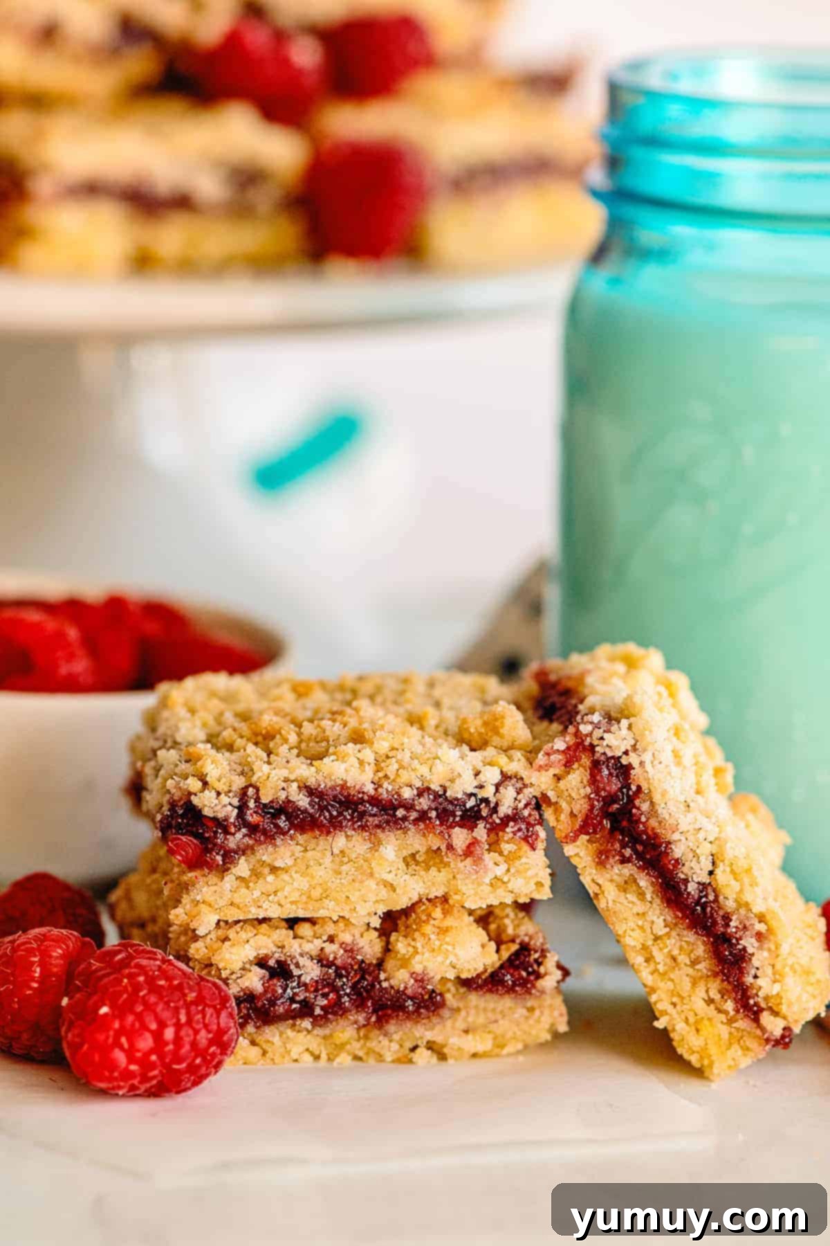 Luscious Raspberry Bars 3 Close-up of three raspberry crumb bars, showing the distinct layers of crust, jam, and crumb topping.