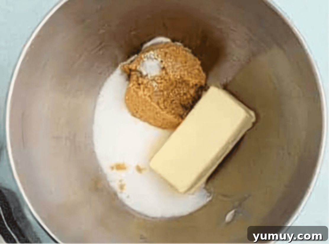 butter, sugar, and brown sugar in a stainless mixing bowl.