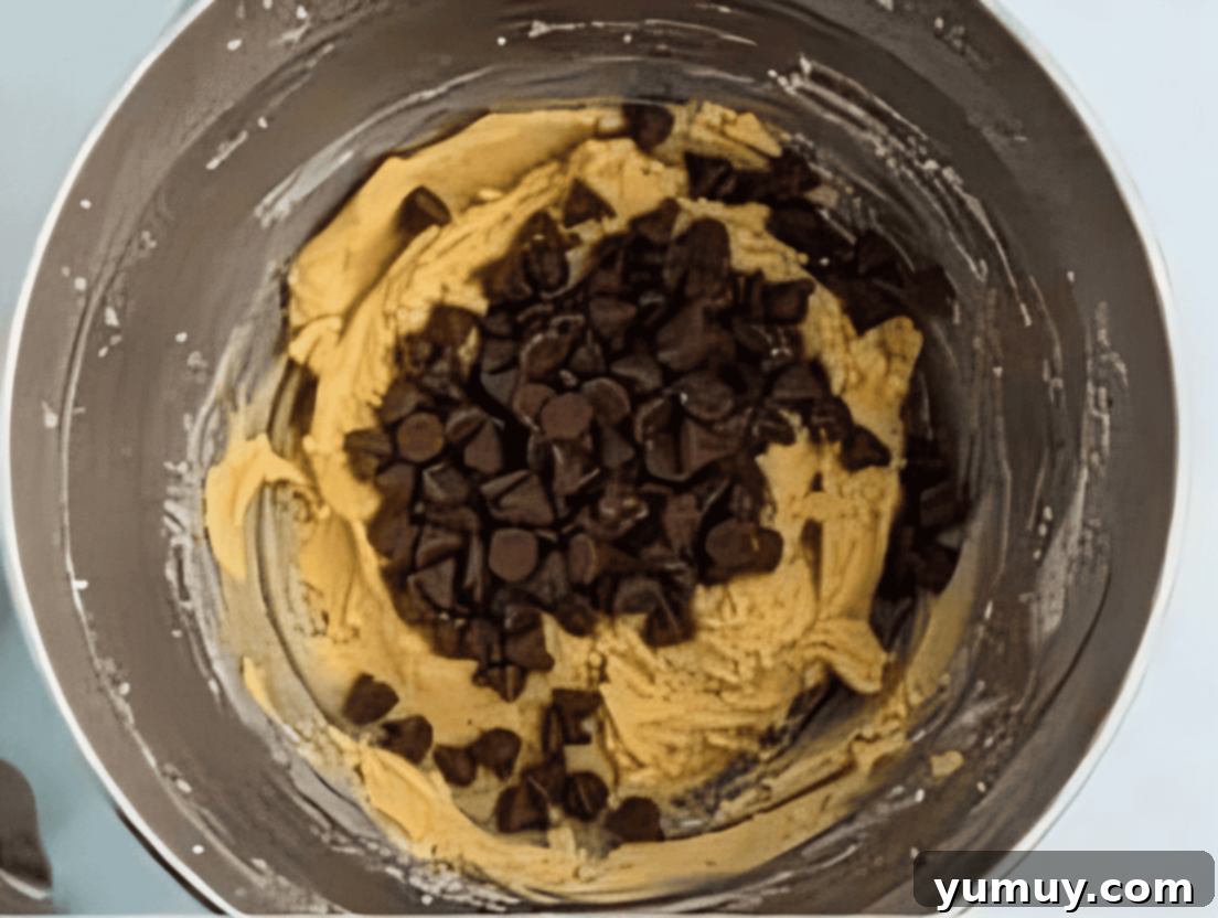 chocolate chips over cookie dough in a stainless mixing bowl.